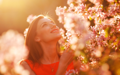 Limpieza de Primavera: Guía para Principiantes